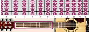 fretboard